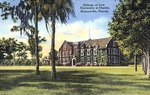 College of Law, University of Florida, Gainesville, Florida