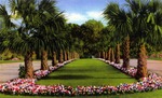 Entrance to beautiful Silver Springs, Florida by Hampton Dunn