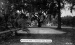 Eva Lyon Park: Crescent City, Florida by Hampton Dunn