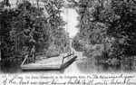 The Ferry, Grahamville on the Ocklawaha River, Florida by Hampton Dunn