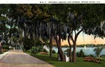 Driveway around Lake Howard, Winter Haven, Florida by Hampton Dunn