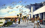 Famous Lido Beach Casino, Sarasota, Florida "Feeding the Sea-Gulls" by Hampton Dunn