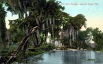 DeLeon Springs near DeLand, Florida by Hampton Dunn