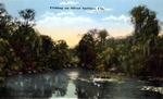Fishing on Silver Springs, Florida by Hampton Dunn