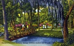Florida's fairyland, Sanlando Springs, between Sanford and Orlando by Hampton Dunn