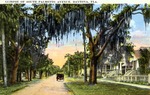 Glimpse of South palmetto Avenue, Daytona, Florida by Hampton Dunn