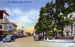 Magnolia Street, Ocala, Florida by Hampton Dunn