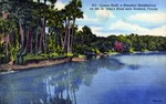 Lemon Bluff, a peaceful rendezvous on the St. John's [sic] River near Sanford, Florida Lemon Bluff, a peaceful rendezvous on the St. Johns River near Sanford, Florida by Hampton Dunn