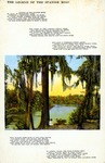 The Legend of the Spanish moss by Hampton Dunn