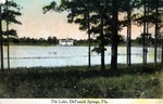 The Lake, DeFuniak Springs, Florida by Hampton Dunn