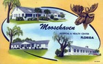 Moosehaven Hospital & Health Center, Florida by Hampton Dunn