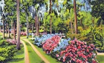 Oriental Gardens -- Jacksonville, Florida by Hampton Dunn