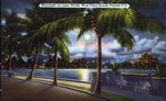 Moonlight on Lake Worth, West Palm Beach, Florida by Hampton Dunn