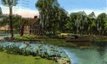 Old Mill at the DeLeon Springs, near DeLand Florida by Hampton Dunn