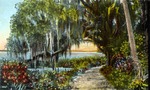 The Old Moss Tree, Florida by Hampton Dunn