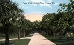 Palm walk, Ballast Point; Tampa, Florida by Hampton Dunn