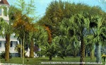 Private grounds near Lake Lucerne, Orlando, Florida by Hampton Dunn