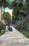 Palm Walk, Ocean Avenue, Palm Beach, Florida by Hampton Dunn