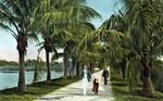 Palm Beach, Florida, The Rockefeller Trail by Hampton Dunn