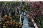 Ravine in Roser Park, St. Petersburg, Florida by Hampton Dunn
