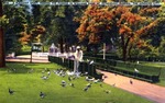 A pleasant sport, feeding the pigeons in Williams Park, St. Petersburg, Florida, The Sunshine City;