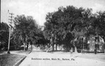Residence section, Main St., Bartow, Florida by Hampton Dunn