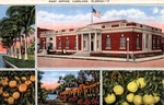 Post Office, Lakeland, Florida by Hampton Dunn