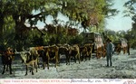 Rapid transit at Fort Pierce, Indian River, Florida by Hampton Dunn
