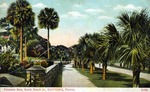 palmetto Row, South Beach St., Daytona, Florida by Hampton Dunn