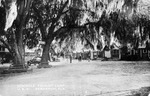 Seminole Tourist Camp, U.S. 41, Hernando, Florida by Hampton Dunn
