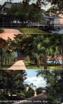 Scenes at Ballast Point, Tampa, Florida by Hampton Dunn