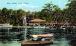 Silver Springs, Ocala, Florida by Hampton Dunn