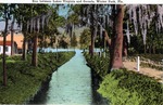 Run between Lakes Virginia and Osceola, Winter Park, Florida by Hampton Dunn