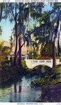 Scene on Canal between Lakes Virginia and Osceola, winter Park, Florida by Hampton Dunn
