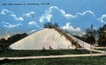 The Shell Mound, St. Petersburg, Florida by Hampton Dunn