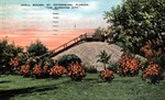 Shell Mound, St. Petersburg, Florida, "The Sunshine City" by Hampton Dunn
