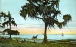 Sanford, Florida, Lake Munroe [sic] Sanford, Florida, Lake Monroe by Hampton Dunn