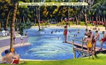 Sanlando Springs, tropical park, Florida, "the city beautiful" by Hampton Dunn