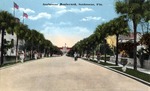 Seabreeze Boulevard, Seabreeze, Florida by Hampton Dunn