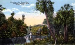 Viewing the beautiful sights, Springs Run, Ocala, Florida by Hampton Dunn