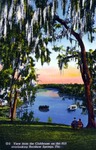 View from the Clubhouse on the Hill overlooking Rainbow Springs, Florida by Hampton Dunn