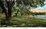 View in Eola Park by Hampton Dunn