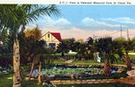 View in Veteran's Memorial Park, St. Cloud, Florida by Hampton Dunn