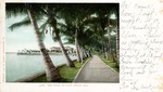 Walk at Palm Beach, Florida by Hampton Dunn