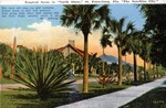 Tropical scene in "North Shore", St. Petersburg, Florida "The Sunshine City" by Hampton Dunn