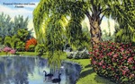Tropical garden and lake, Florida by Hampton Dunn