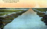 View of one of the dredged canals in the Everglades, Florida by Hampton Dunn