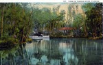 View on the Tomoka River, Florida by Hampton Dunn