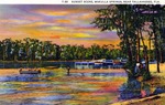 Sunset Scene, Wakulla Springs near Tallahassee, Florida by Hampton Dunn