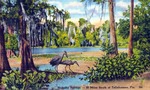 Wakulla Springs Lodge, 20 miles south of Tallahassee, Wakulla Springs, Florida by Hampton Dunn